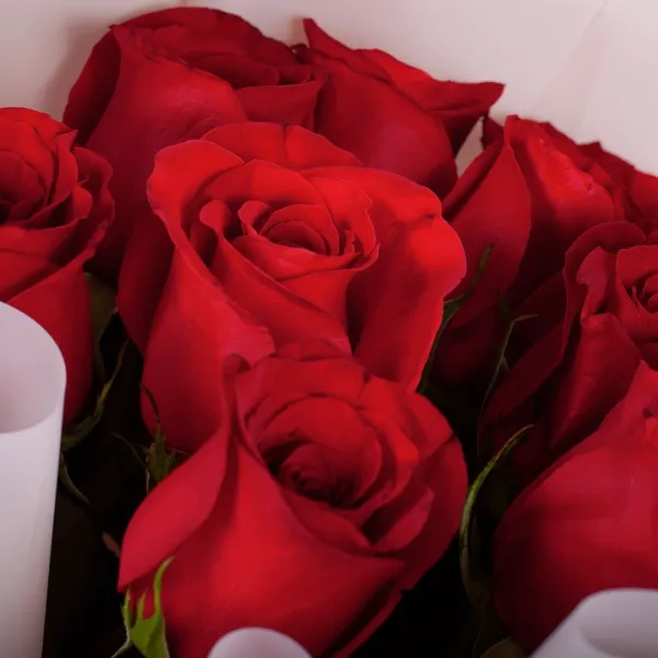 Букет из 11 ярко-красных роз (60 см)