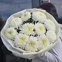 11 хризантем