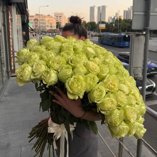 Роза эквадор 101 шт