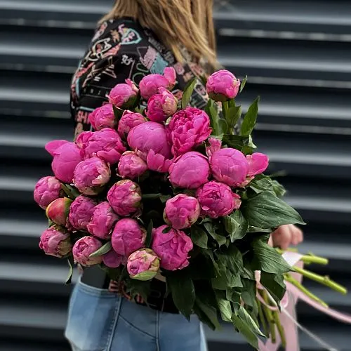 51 розовый пион