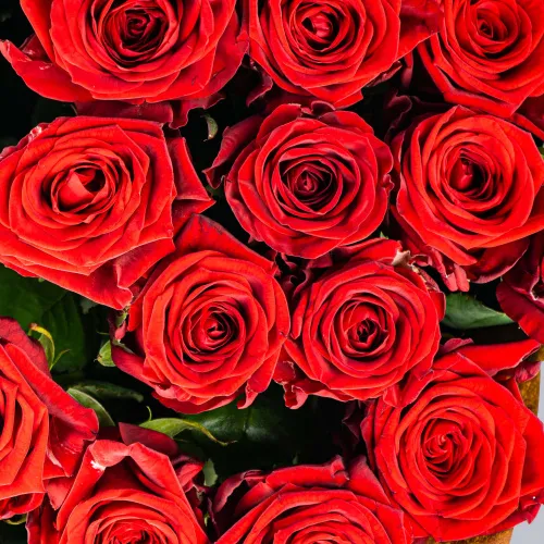 35 красных роз (50 см)