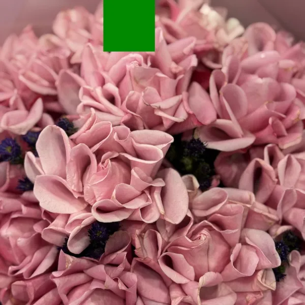 Букет из роз эквадор и астер большой