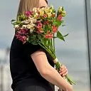 15 альстромерии