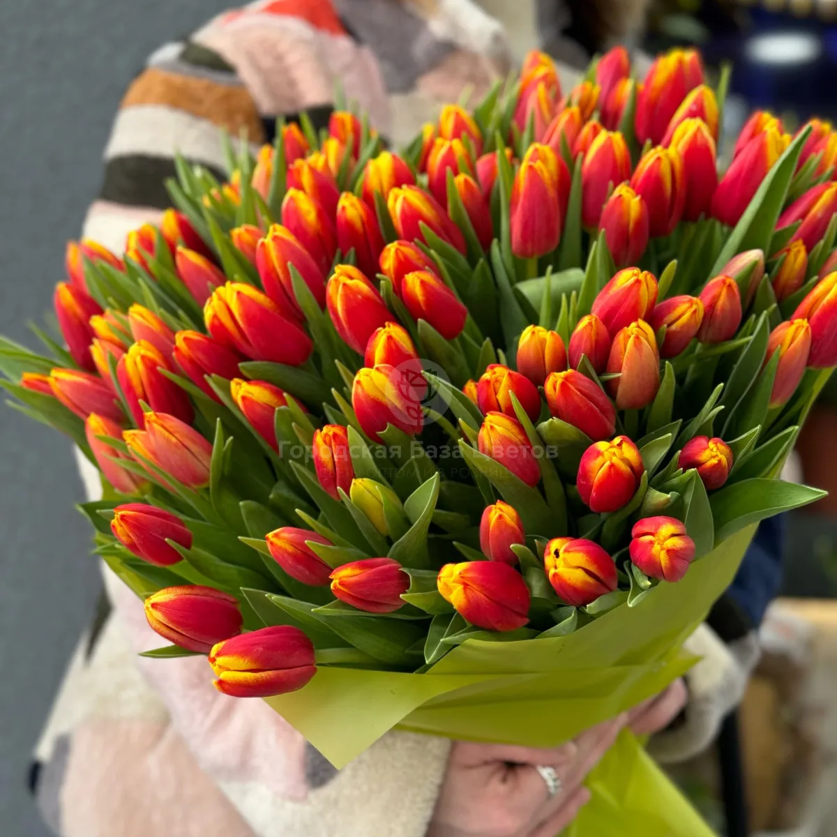 75 красно-жёлтых тюльпанов фото №2 75 красно-жёлтых тюльпанов