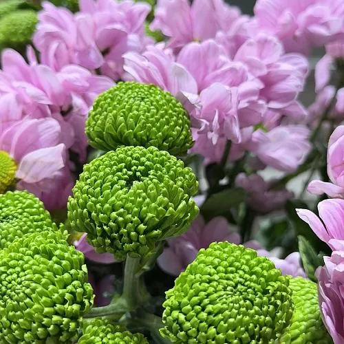Букет из кустовых хризантем