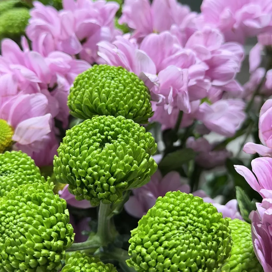 Букет из кустовых хризантем