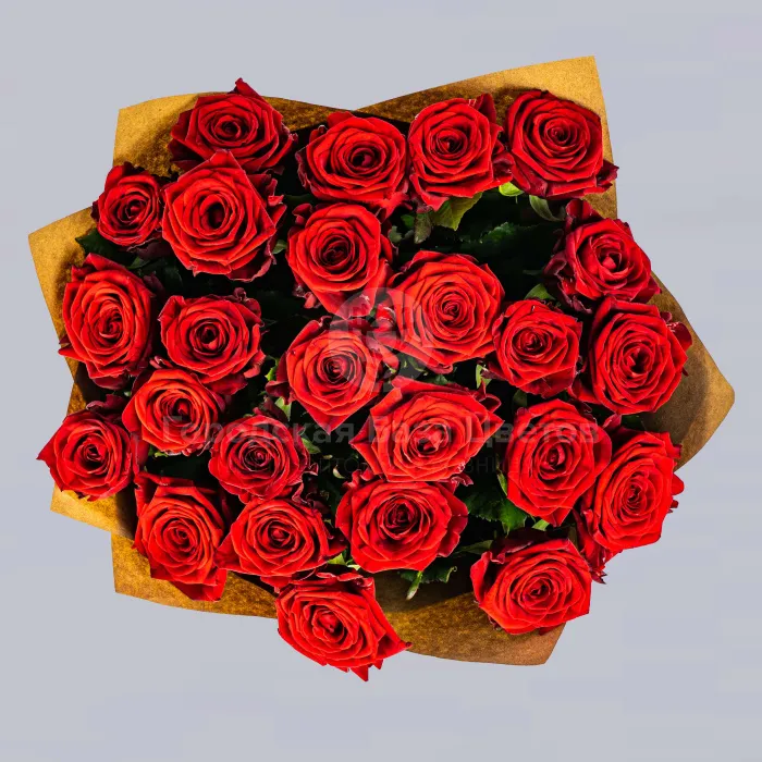 37 красных роз (70 см)
