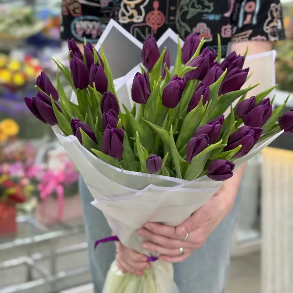 25 бордово-фиолетовых тюльпанов