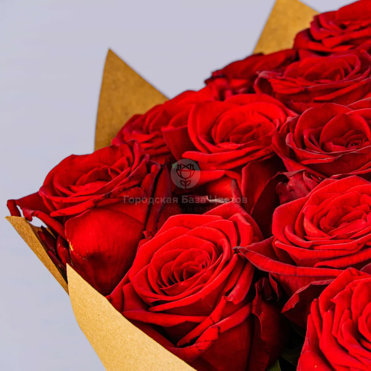 25 красных роз (60 см)