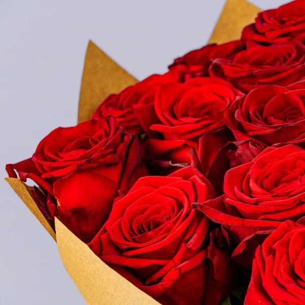 25 красных роз (50 см)