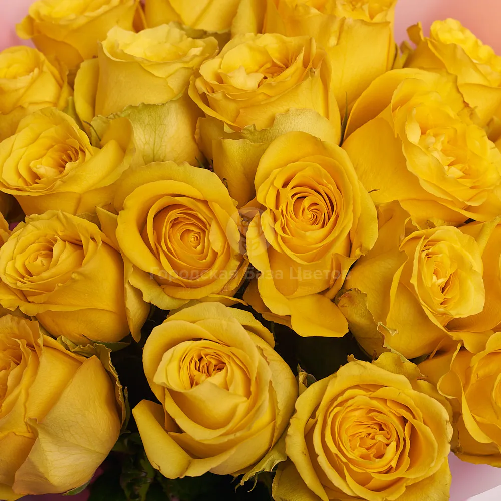 21 желтая роза (60 см)