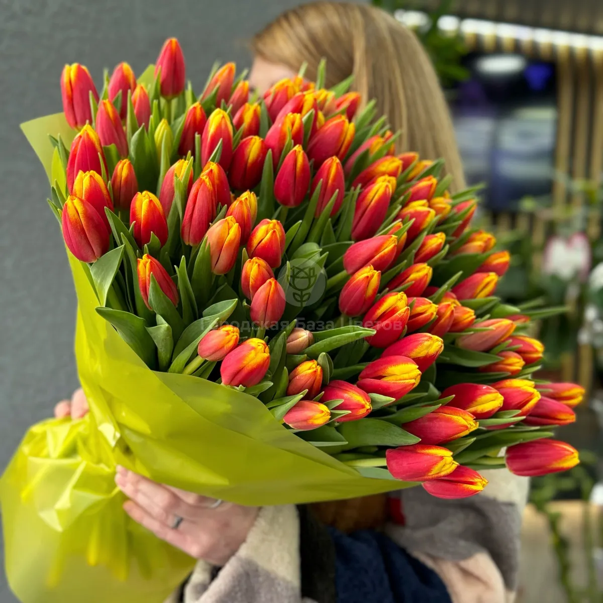 75 красно-жёлтых тюльпанов фото №3 75 красно-жёлтых тюльпанов