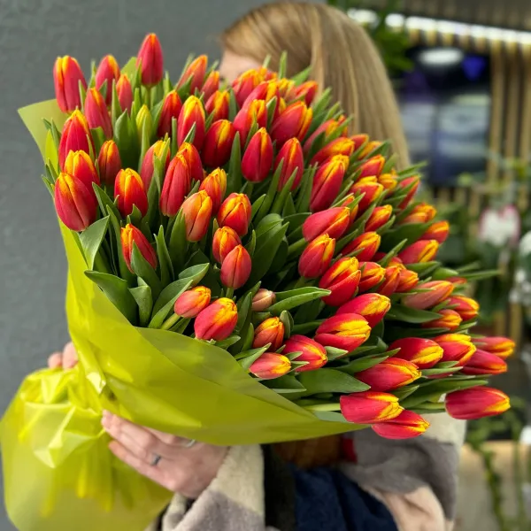 79 красно-жёлтых тюльпанов
