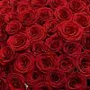 221 темно-красная роза (60 см)