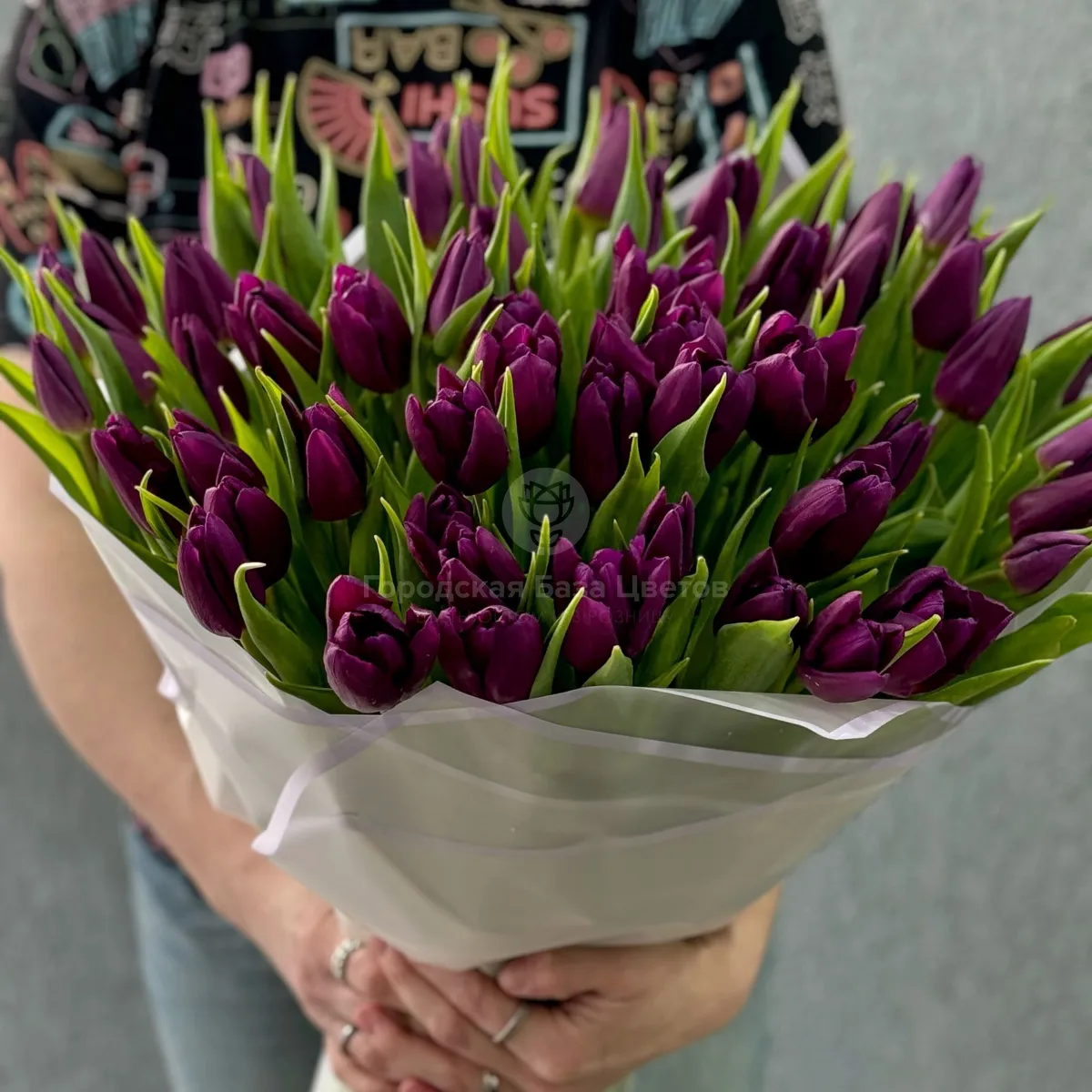67 бордово-фиолетовых тюльпанов