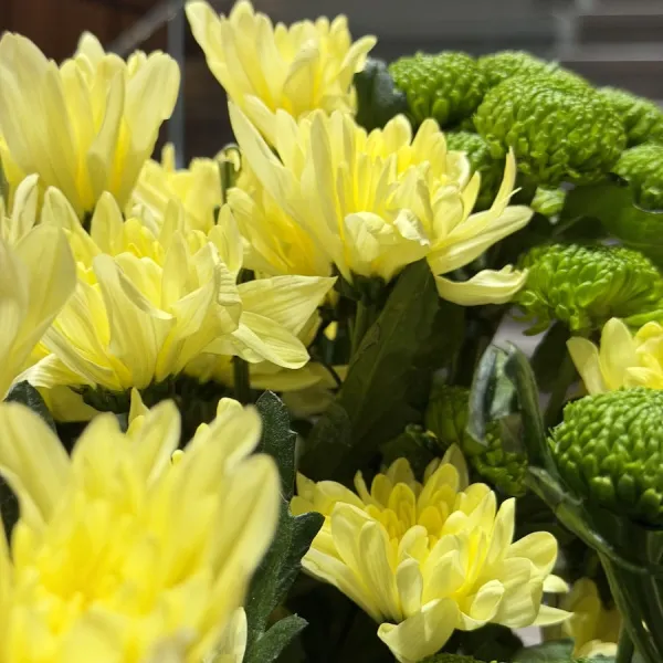 Букет из кустовых хризантем