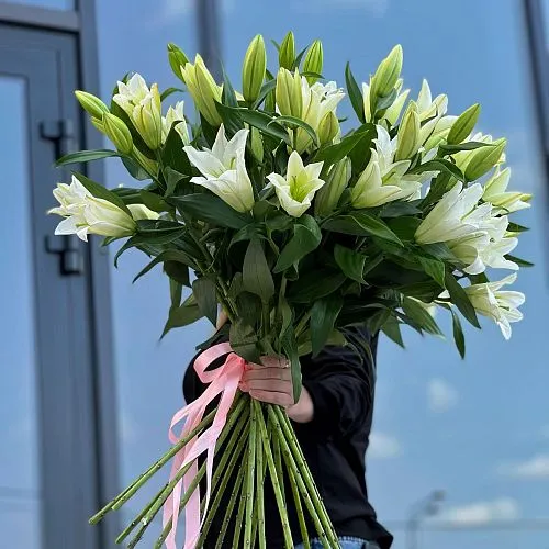 19 бело-зелёных лилий