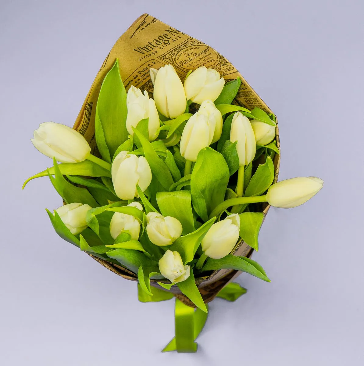 Букет из 15 белвых тюльпановфото №2 Букет из 15 белвых тюльпанов