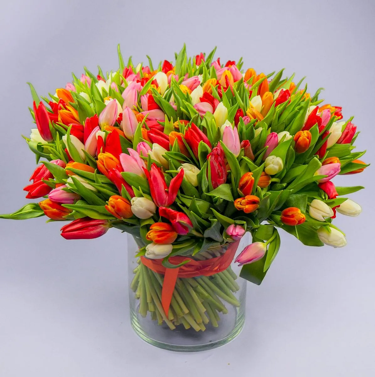 Букет из 201 тюльпана миксфото №1 Букет из 201 тюльпана микс