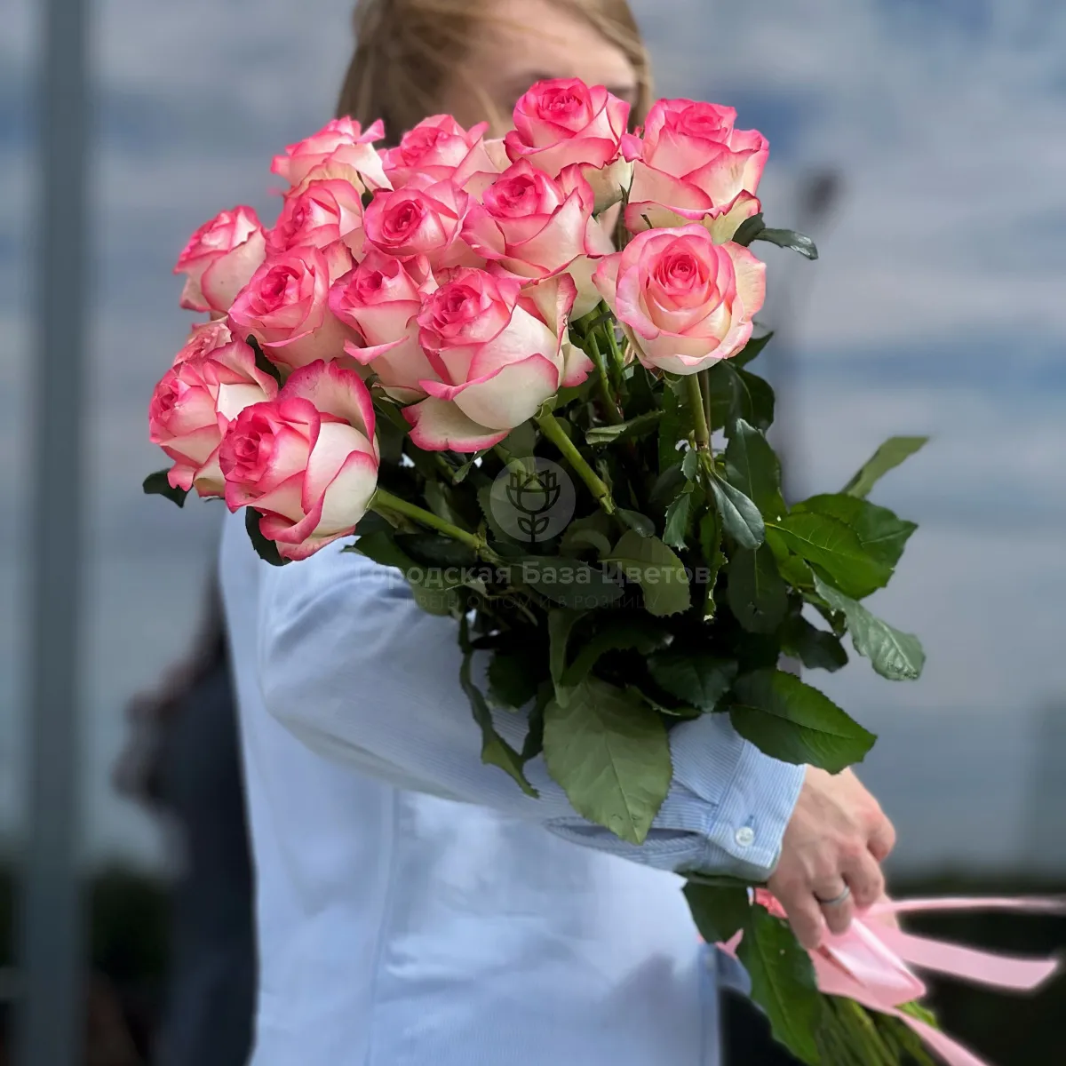 15 бело-розовых роз (70 см)