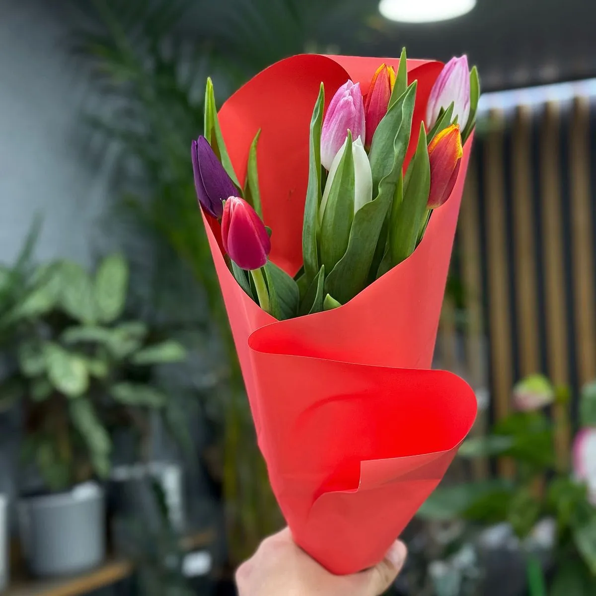 7 тюльпанов (5 букетов)фото №2 7 тюльпанов (5 букетов)