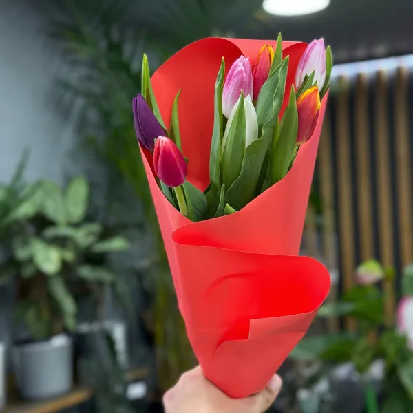 7 тюльпанов (5 букетов) фото №2 7 тюльпанов (5 букетов)