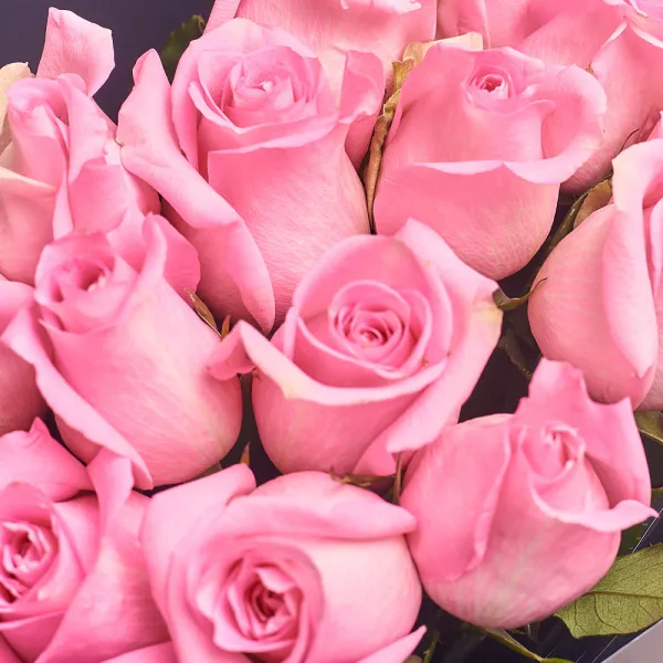 15 розовых роз (60 см)