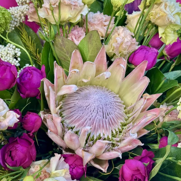 Букет из роз, озотамнус и протей огромный