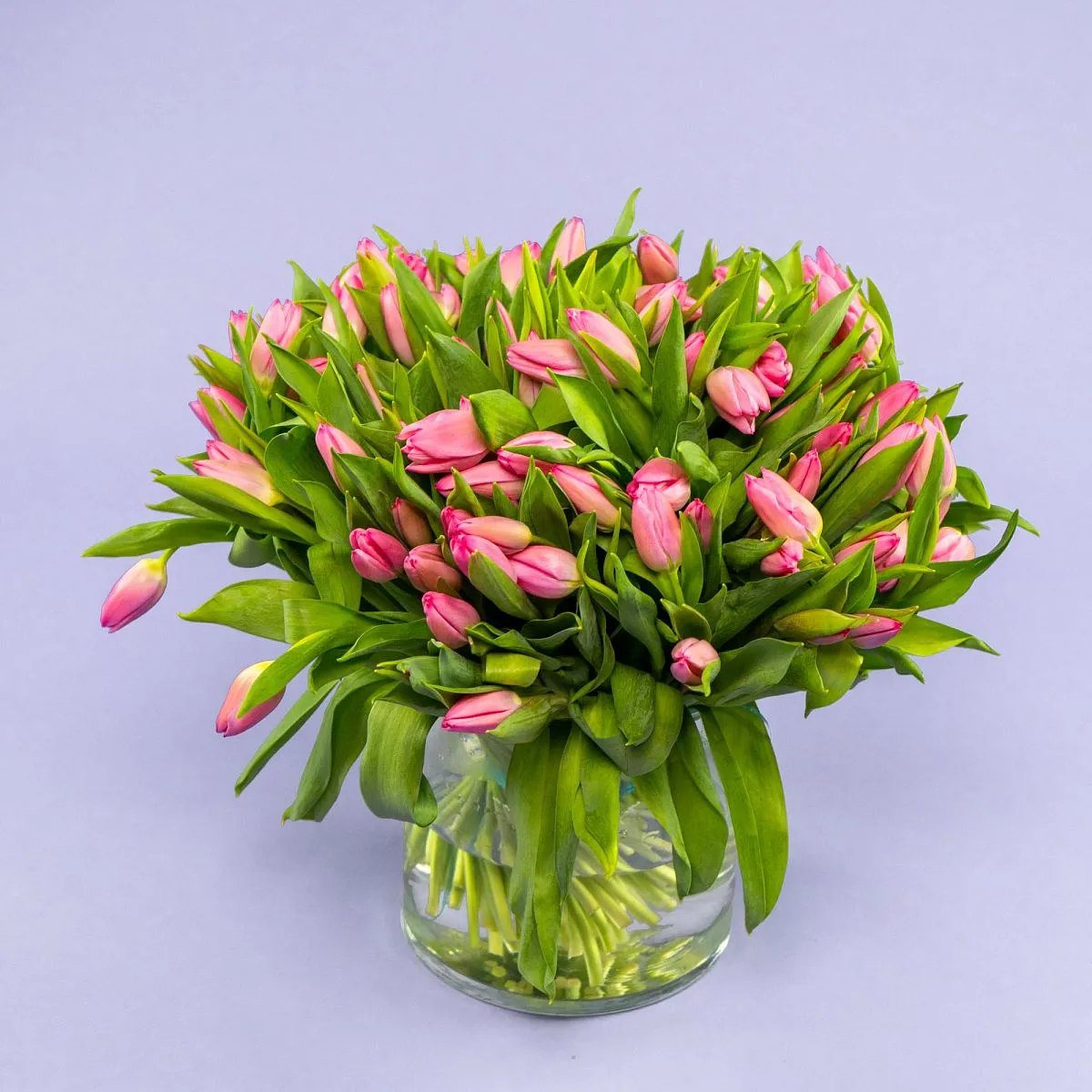 Букет из 101 розового тюльпана