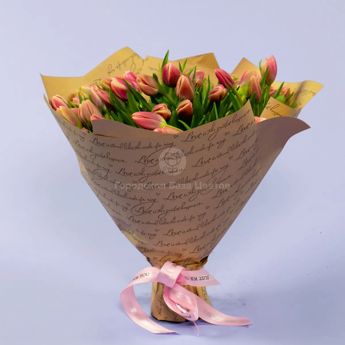 49 тюльпанов фото №1 49 тюльпанов