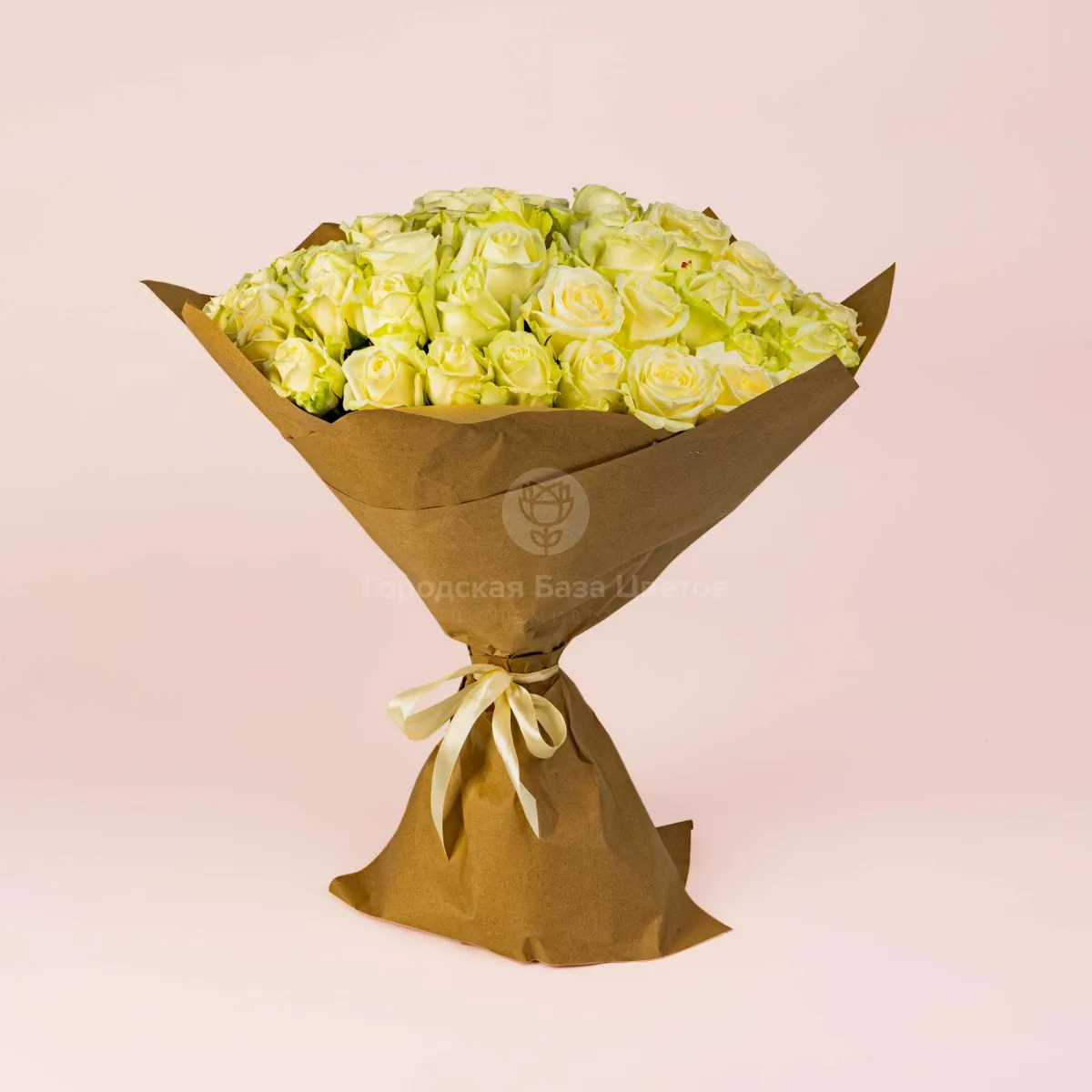 63 бело-зеленые розы (70 см)