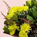 Букет из жёлтых кустовых хризантем