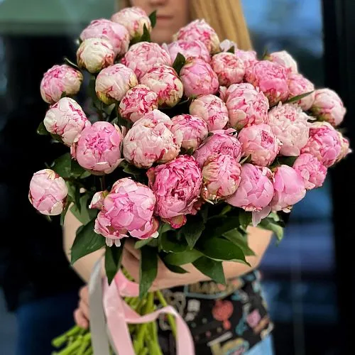 25 бело-розовых пионов