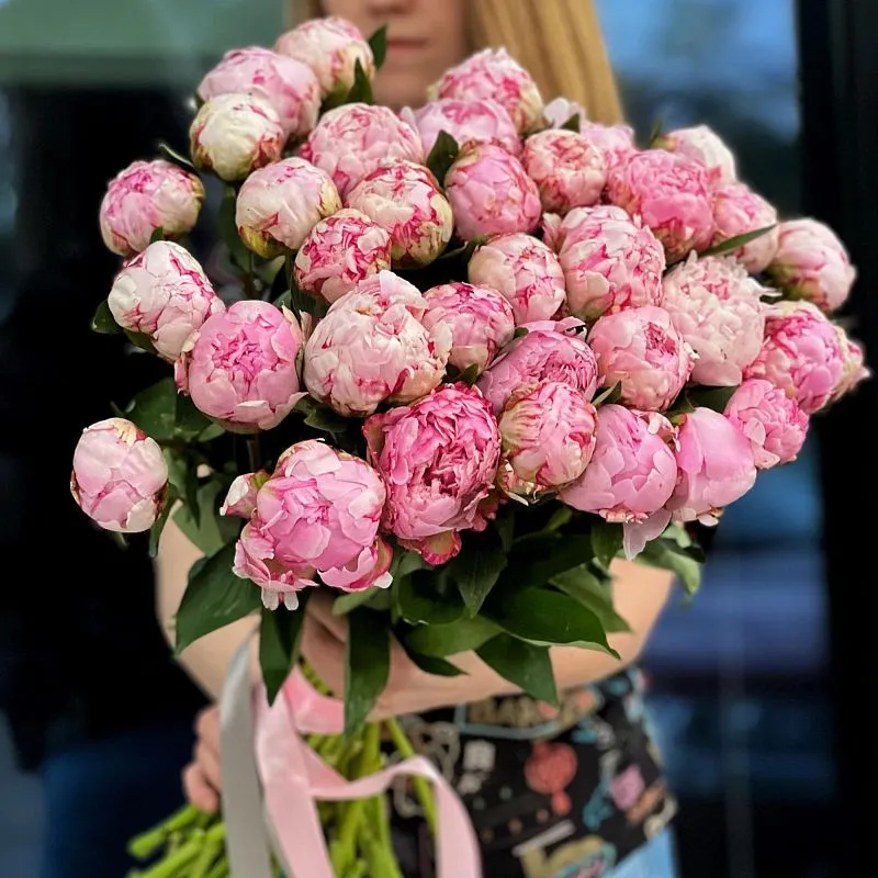 17 бело-розовых пионов