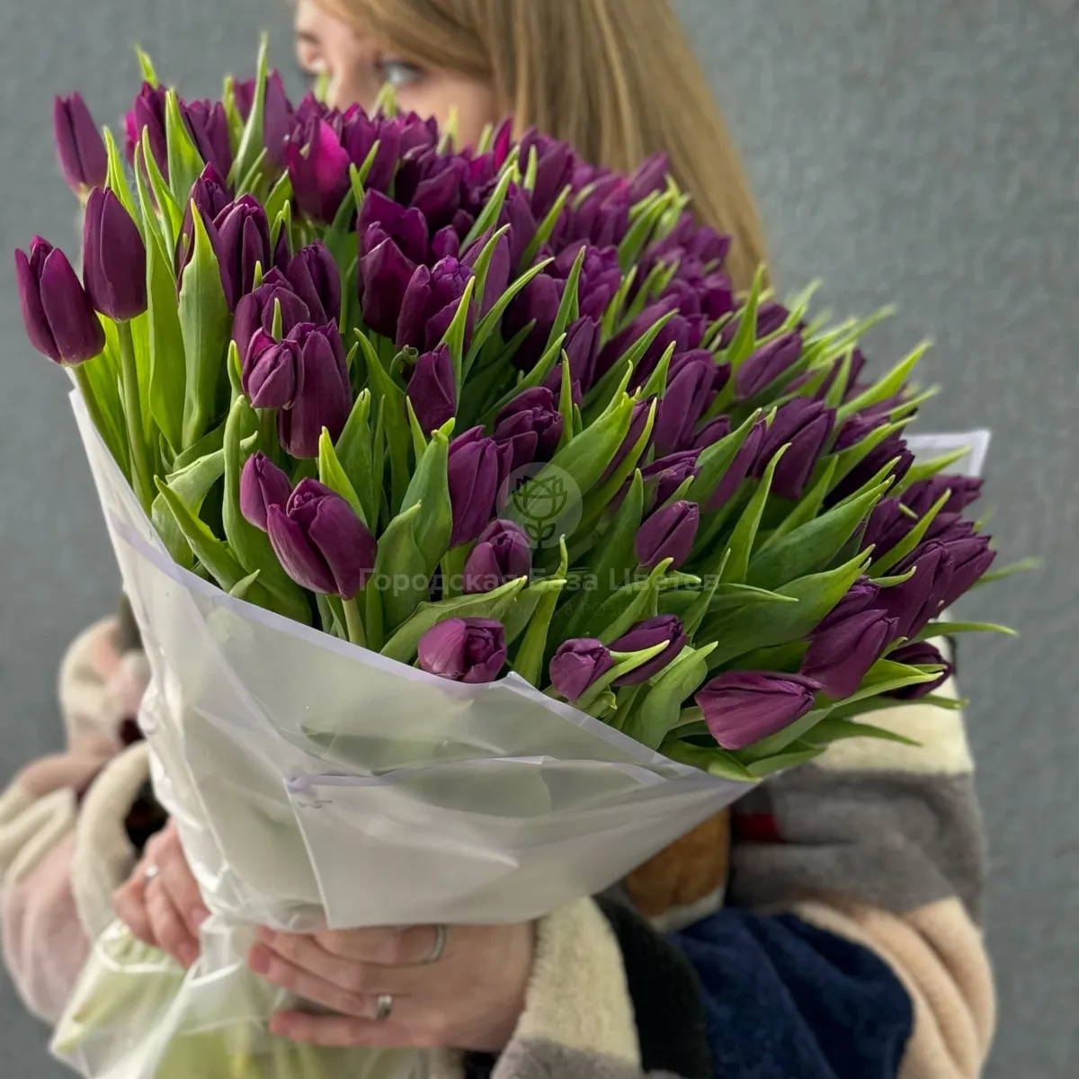 89 бордово-фиолетовых тюльпанов