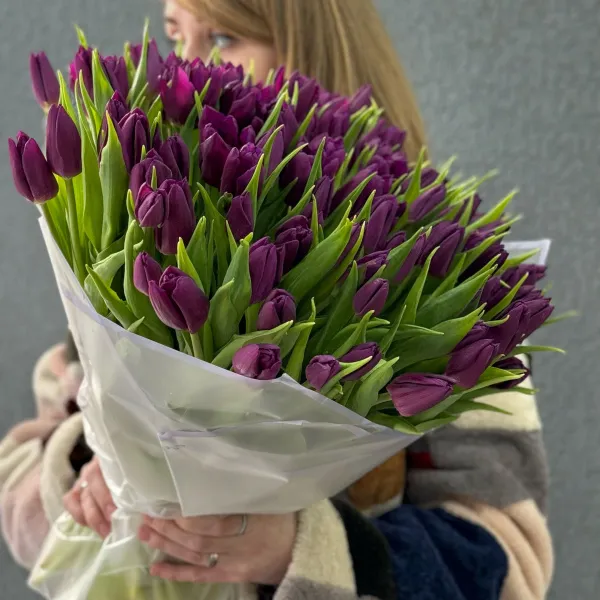 99 бордово-фиолетовых тюльпанов