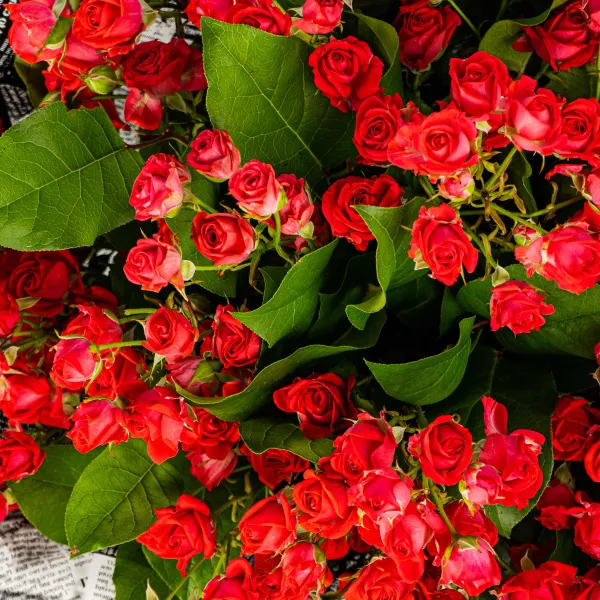 21 кустовая роза (50 см)