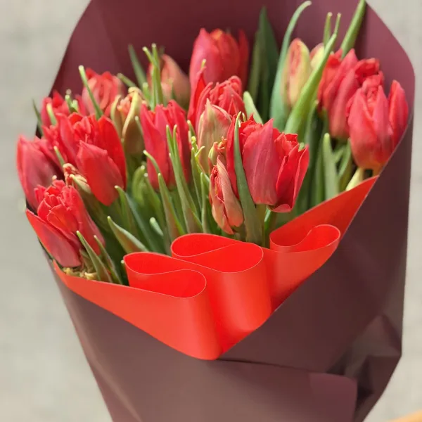 33 тюльпанов