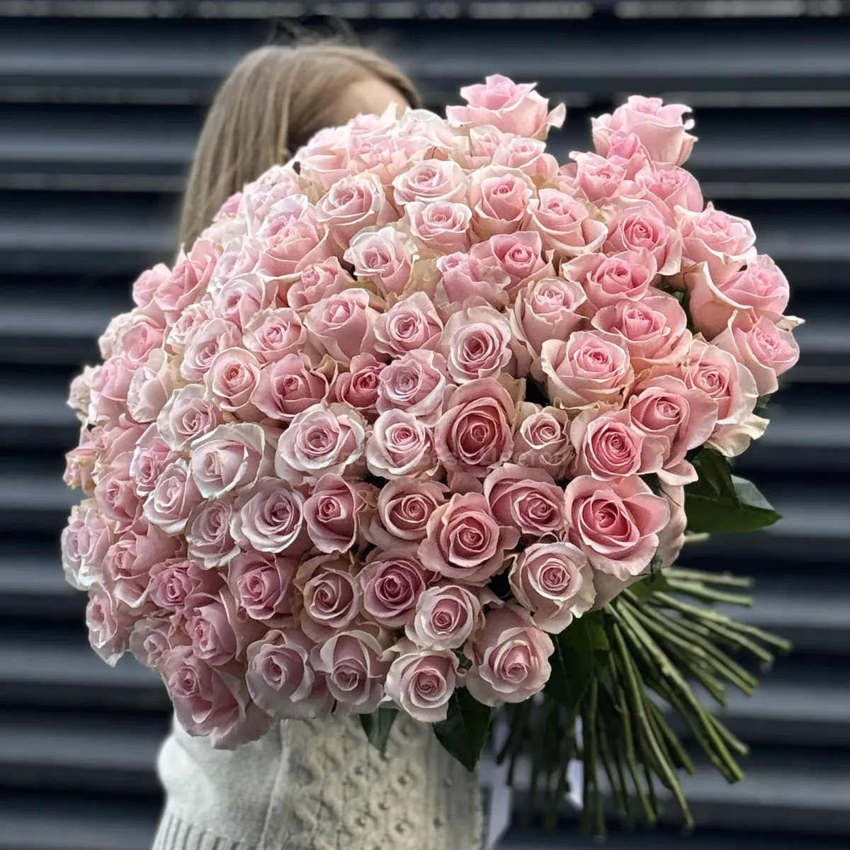 Букет 101 нежно-розовая роза эквадор (70см)