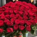 95 красных роз 60 см «Алый поток»