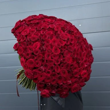 Букет из роз, 301 шт.