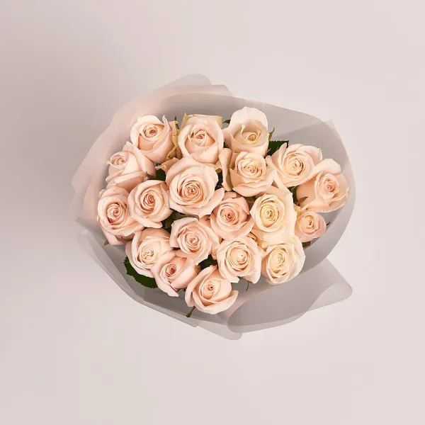 19 кремовых роз (60 см)