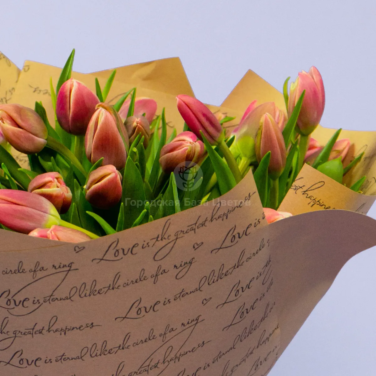 49 тюльпанов фото №5 49 тюльпанов