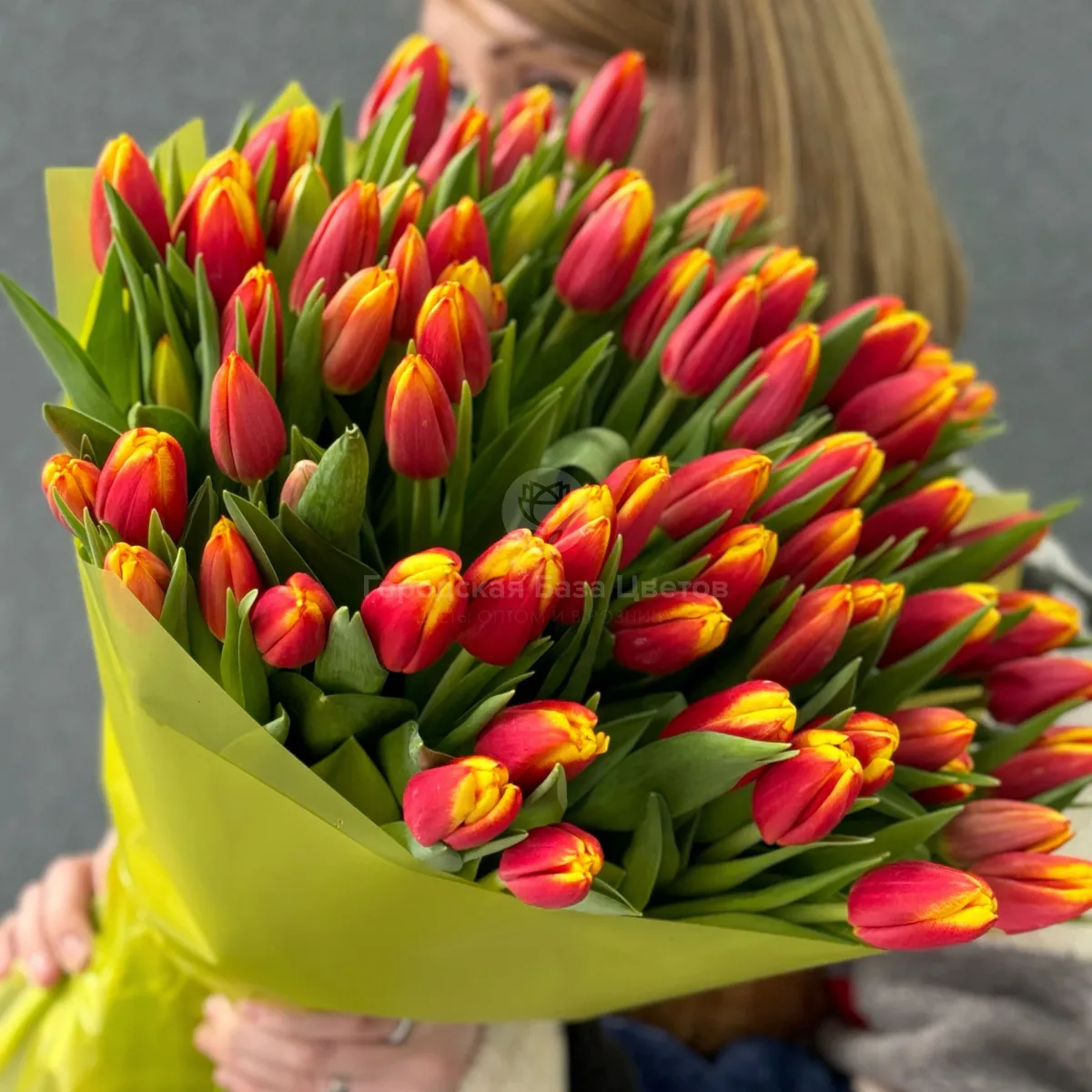 63 красно-жёлтых тюльпанов фото №3 63 красно-жёлтых тюльпанов