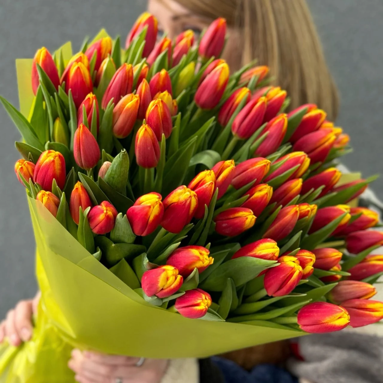 73 красно-жёлтых тюльпанов