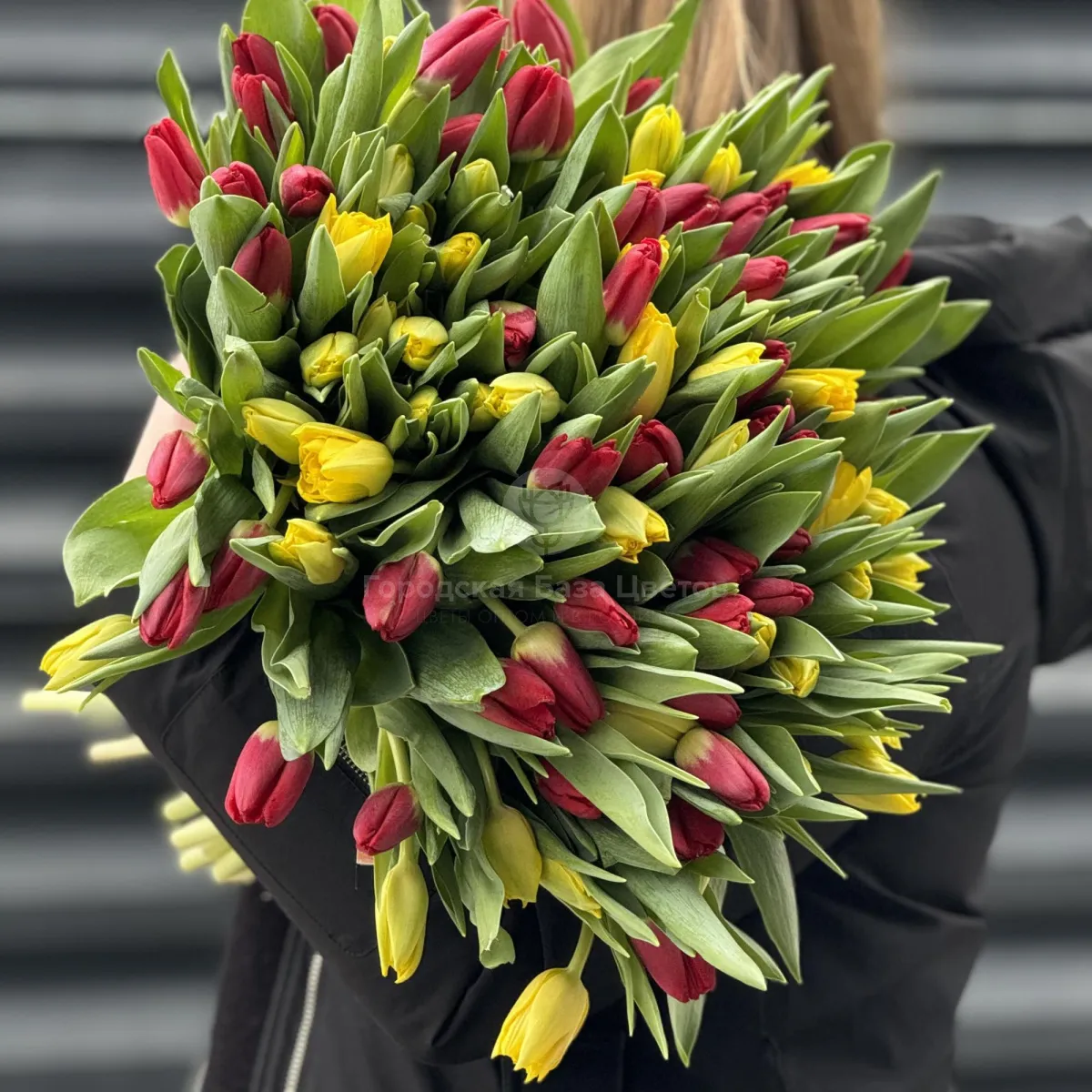 69 тюльпанов фото №1 69 тюльпанов