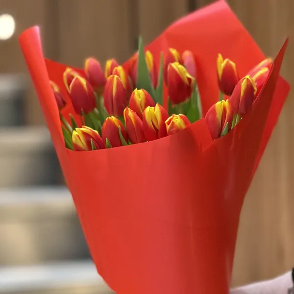 19 тюльпанов