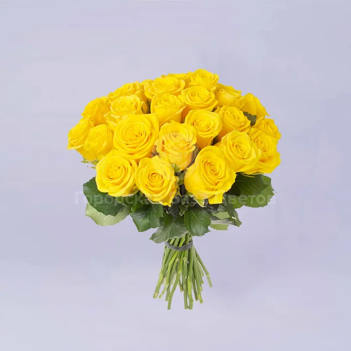 23 жёлтые розы (35 см)