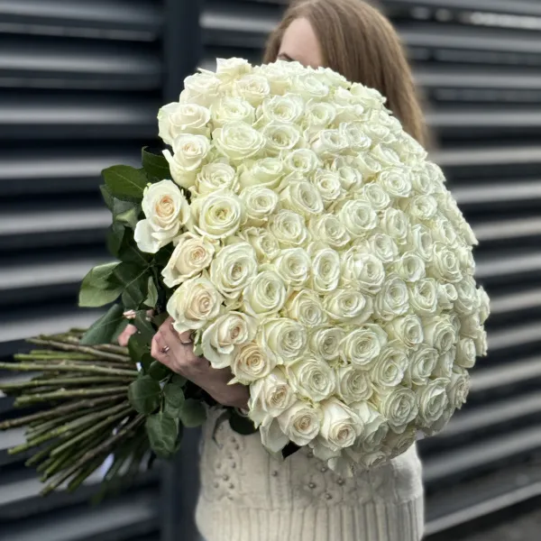 Букет 101 белая роза эквадор (70см)