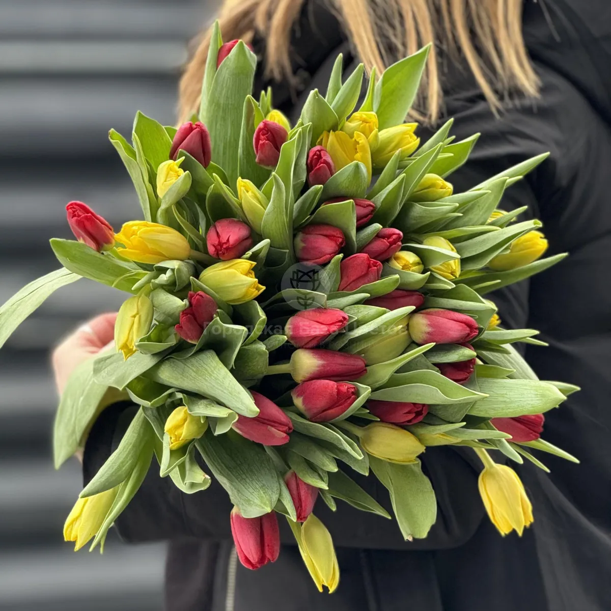 39 тюльпанов фото №1 39 тюльпанов